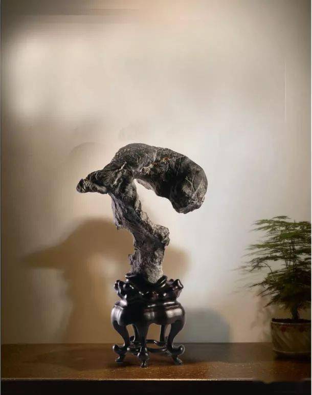 清供,一石 木座 