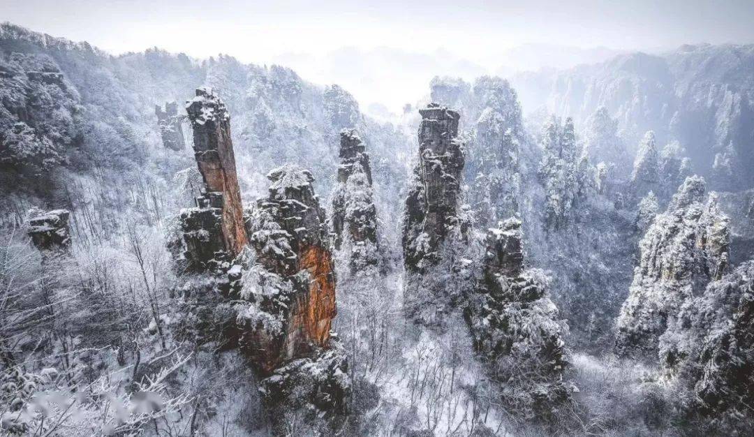 雪景美到爆张家界多个景区下雪了冬季优惠票价安排走起
