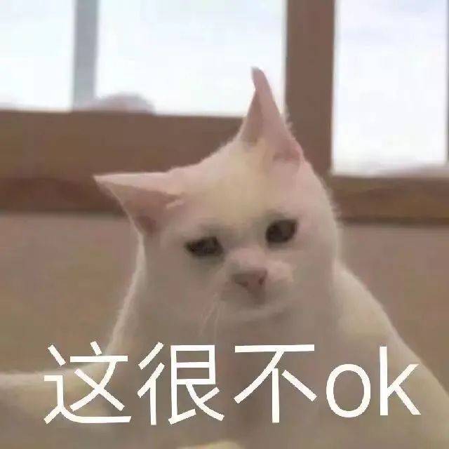 11a6e27cec5d4f99bc21a8baf0aecf99.jpeg