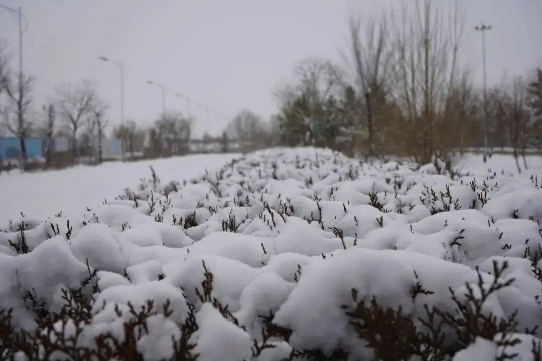 阴气化作漫天大雪, 还世界一片银装素裹.