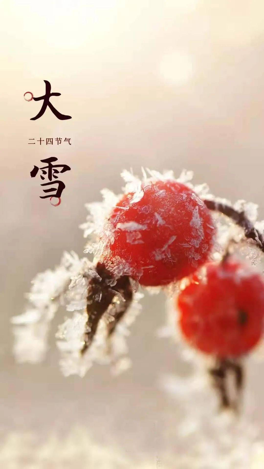 大雪祝福一曲爱的雪花飘满冬季和最美的祝福送给您