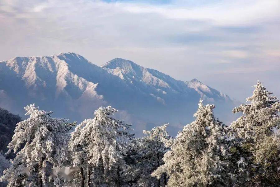 2020年的第一场雪一一大别山雪景