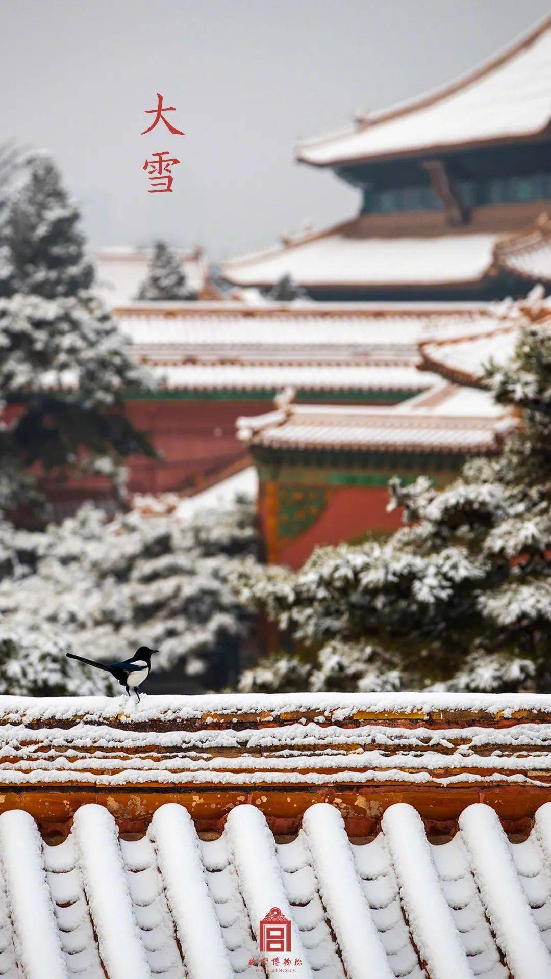 时间飞逝,过的好快!这周北京下雪吗?