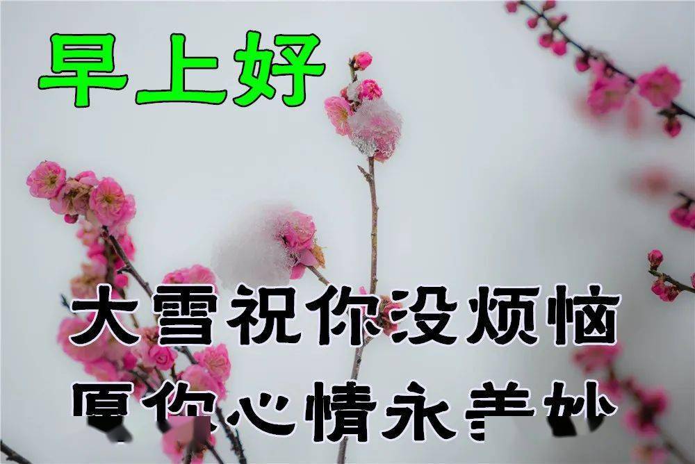 12月6日最漂亮早上好动态表情图片大全,早晨好动图美图大全