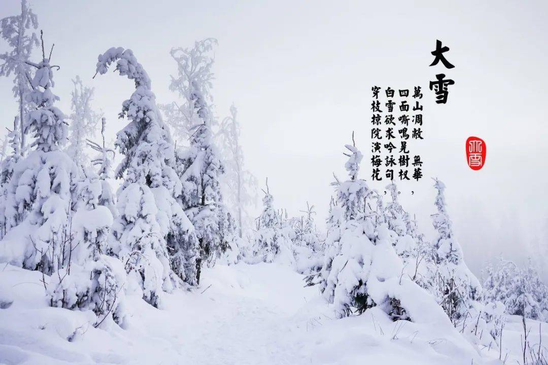 冬天的古诗有哪些完整的 95f30b70e51f41ac82e9b9a3fbcc5d27.jpeg