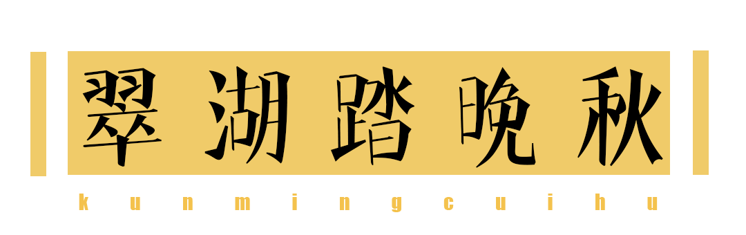 12月的翠湖,美醉了!