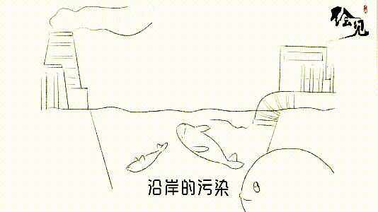『媛媛话环保』第536讲:我叫江豚,长江的江……_保护