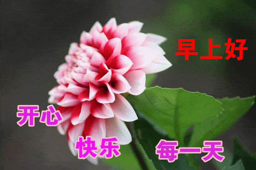 早上好问候美图,早安问候语句.