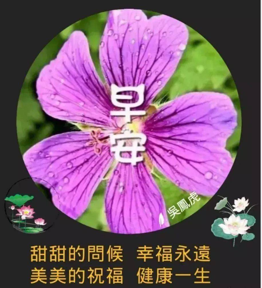 群发冬天好看的早安图片带字,全新的一天温馨早上好祝福语