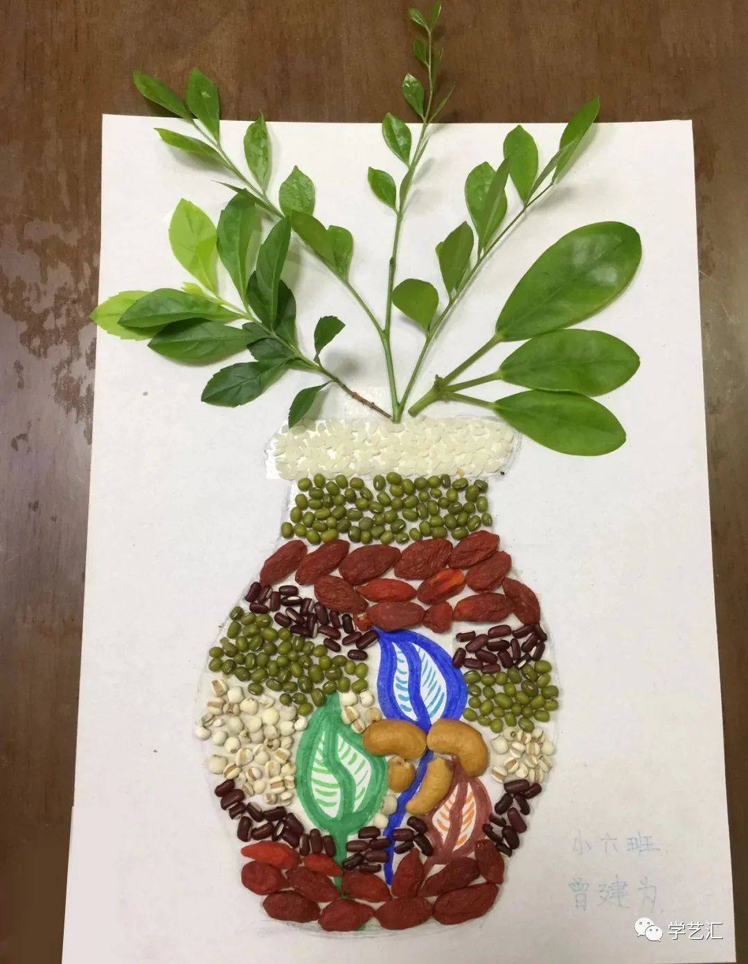 小小种子，创意无限 ——鹤琴幼儿园总部中三班有趣的种子主题活动|幼儿园_新浪新闻