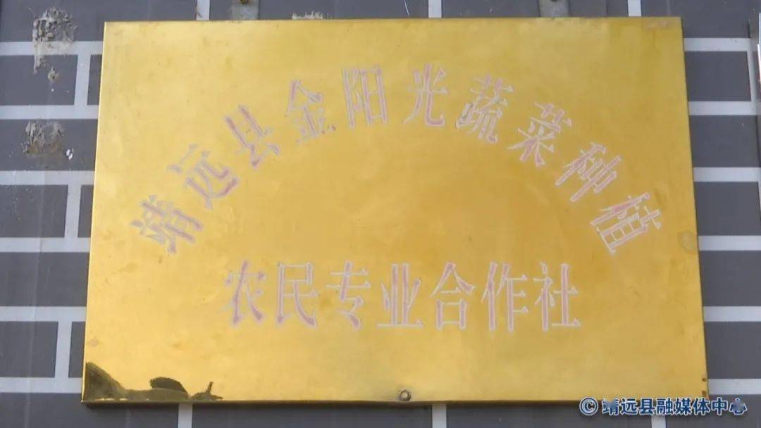 冬季大KAIYUN棚育苗忙 播种丰收新希望(图6)