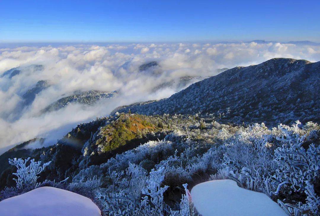 快看冬日的天斗山美成了冰雪仙境