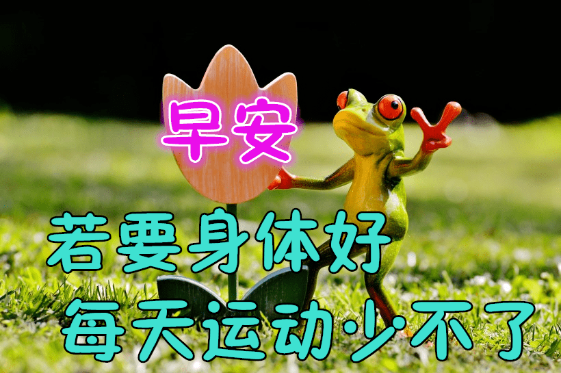 最新早上好祝福语大全,早上好问候语句子!