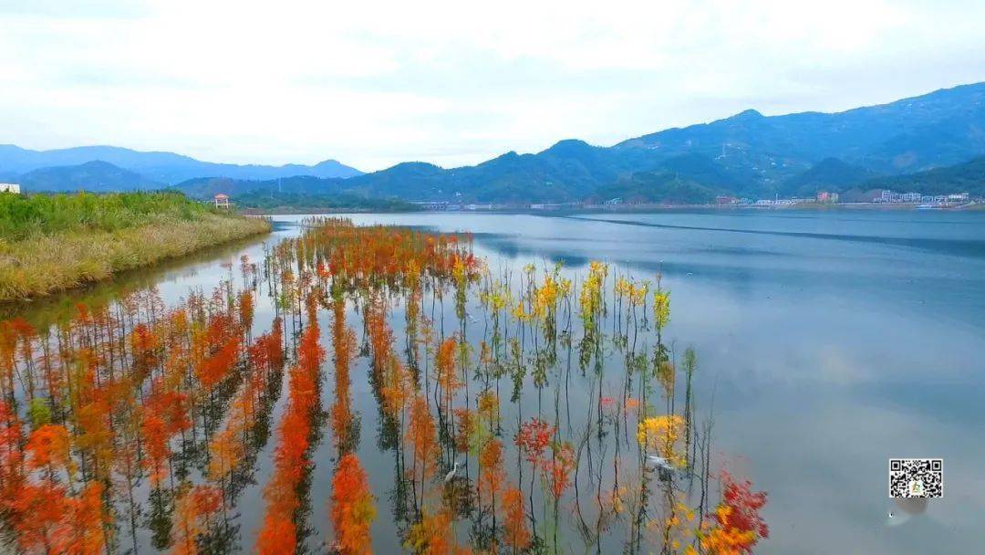 汉丰湖的景色用英文怎么说