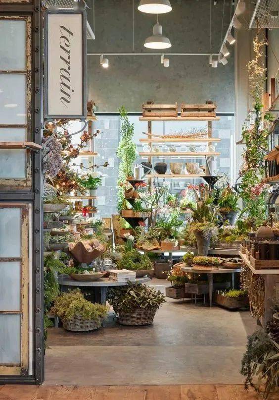 【花生活】开一间花店,治愈人生_摆设