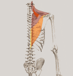 0697516c0c9d495696302a5bcf449829.gif