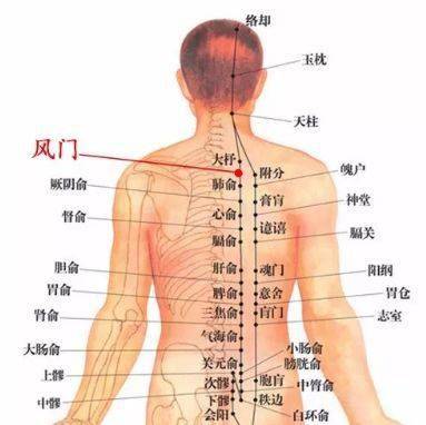 美丽田园做背没效果那是因为你没坚持