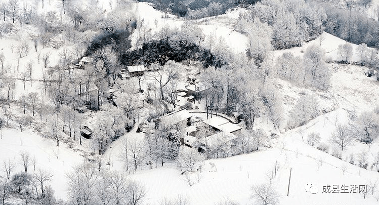 成县人口_成县鸡峰山