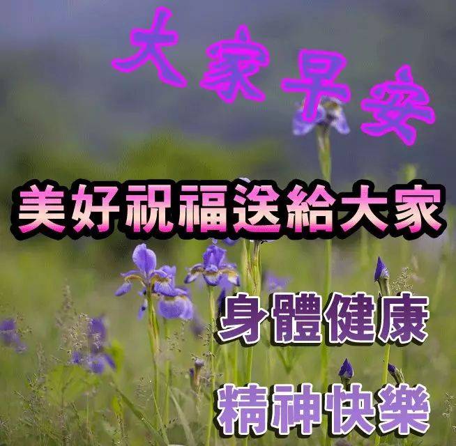 最新周日早上好表情包,天冷不忘问候,风吹不散思念,星期天快乐!