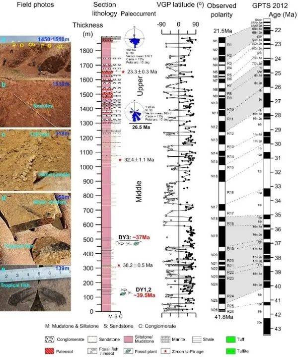 研究人员|研究人员首获青藏高原中南部新生代地层年代序列