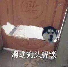 772a752f3a7345d49bd0e085d26b2039.jpeg