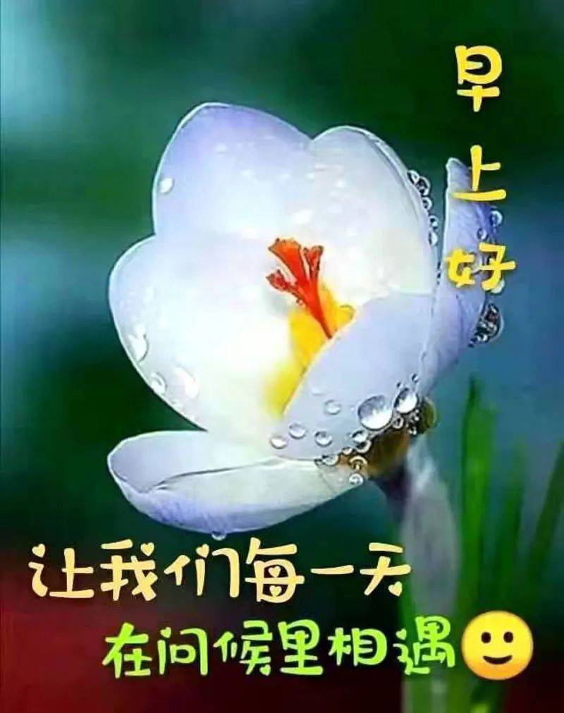 最美聊天图片