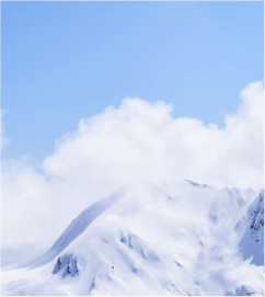 ec268820131d4330b44957878a0e4e46.png