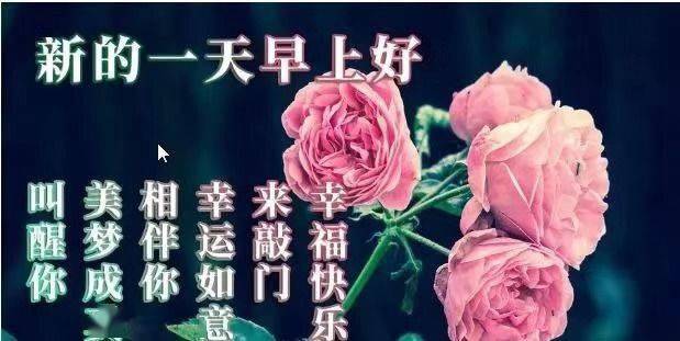最新版非常漂亮的早上好表情图片 温馨早安心语语录