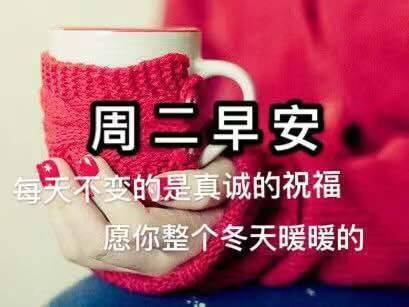 非常漂亮的周二早上好表情包天寒注意身体暖暖的祝福送给你