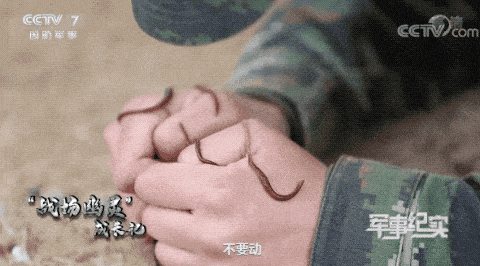 大姐|2020，她们才是乘风破浪的姐姐！