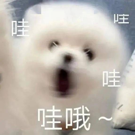 怎么上岸最好 60f4f0b514f24a199cd04d667ae3b826.jpeg