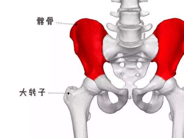 太极拳如何做到立身中正?看你有没有找到这种感觉