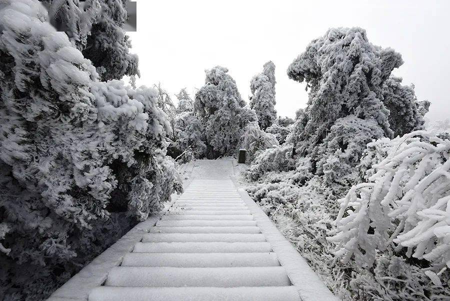 高铁团【冰雪衡山】登祝融峰祈福赏绝美雾凇2天