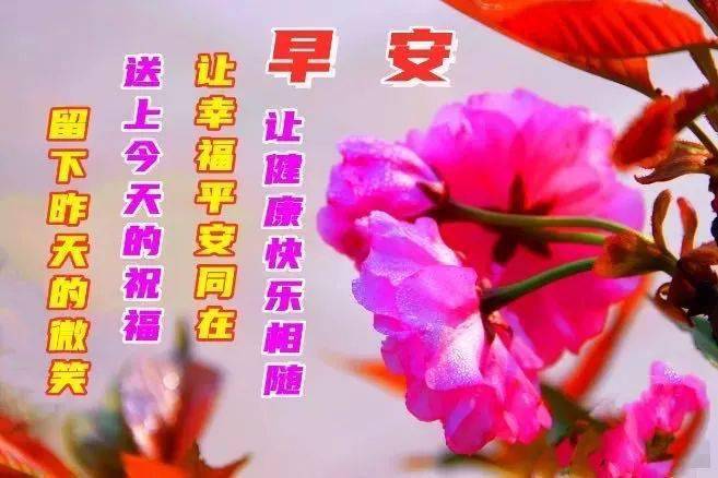 友谊关怀更深情意牵挂更浓