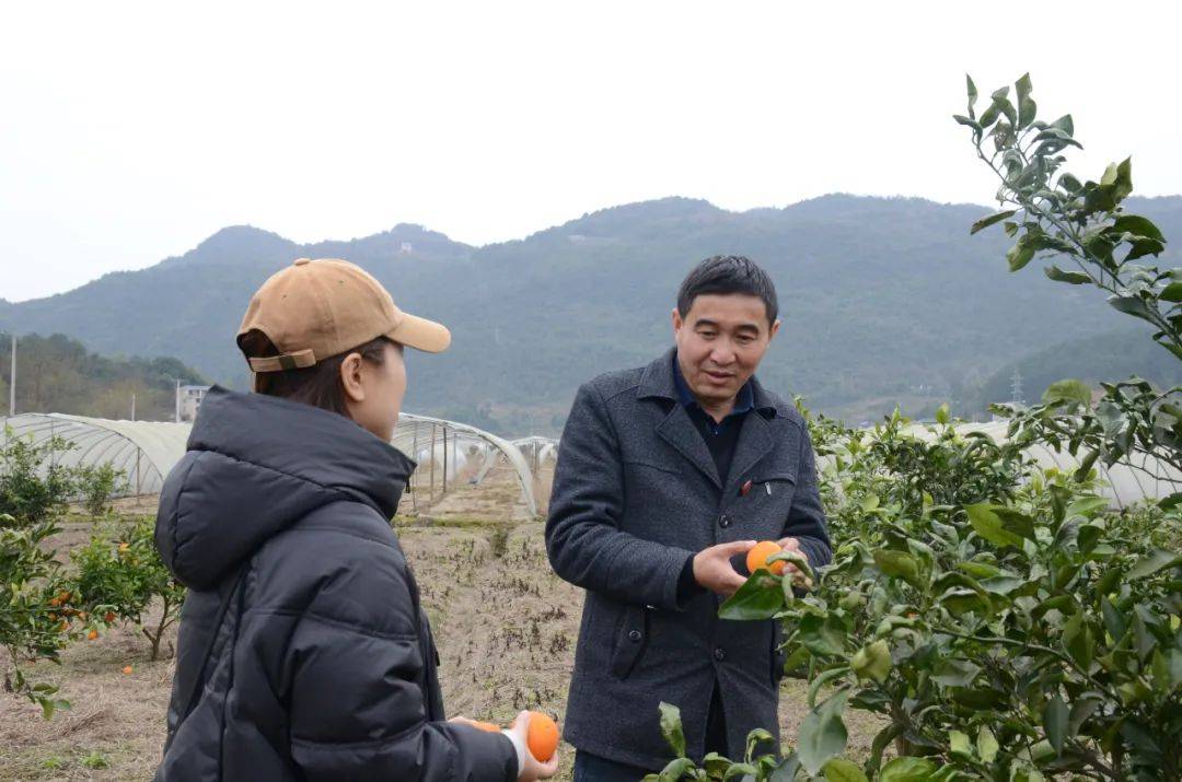 代表委员风采录龚智鹏老百姓的事就是我的事覃雄践行委员职责关注民生