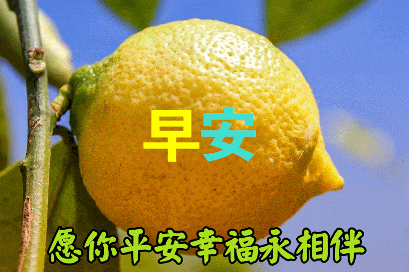 温馨的早晨问候语优美短句,浪漫的早安祝福语带鲜花图片
