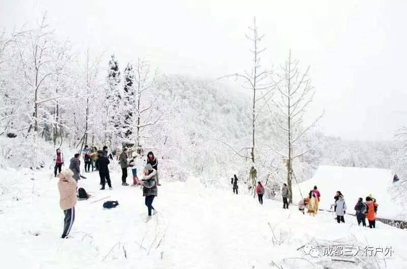 12月20号:彭州白水十八湾耍雪,冰雪森林一日游(432期)