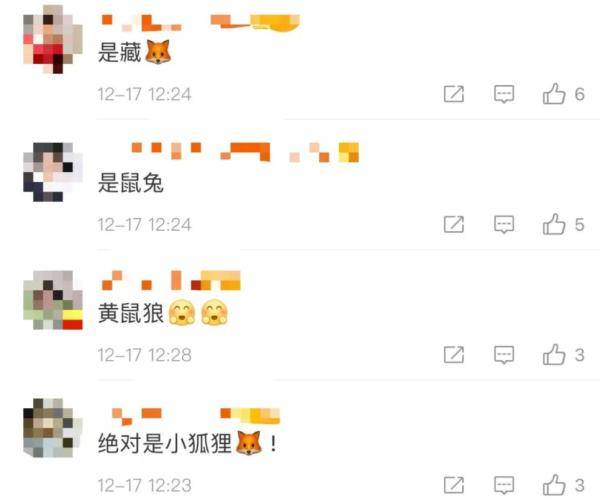 网友|出趟差不容易！网友：像极了军训回来的我