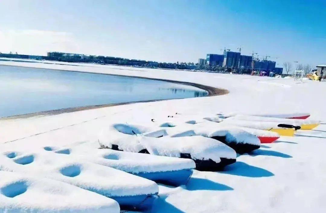 威海南海新区供图最美的不是下雪天是曾与你赏过雪的斗拱飞檐初雪