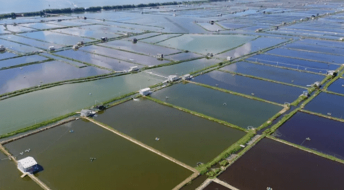 饶平黄冈镇gdp_饶平黄冈镇沈江华(2)