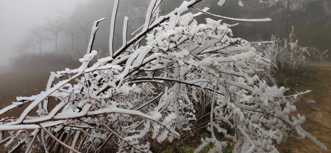 泸西要下雪