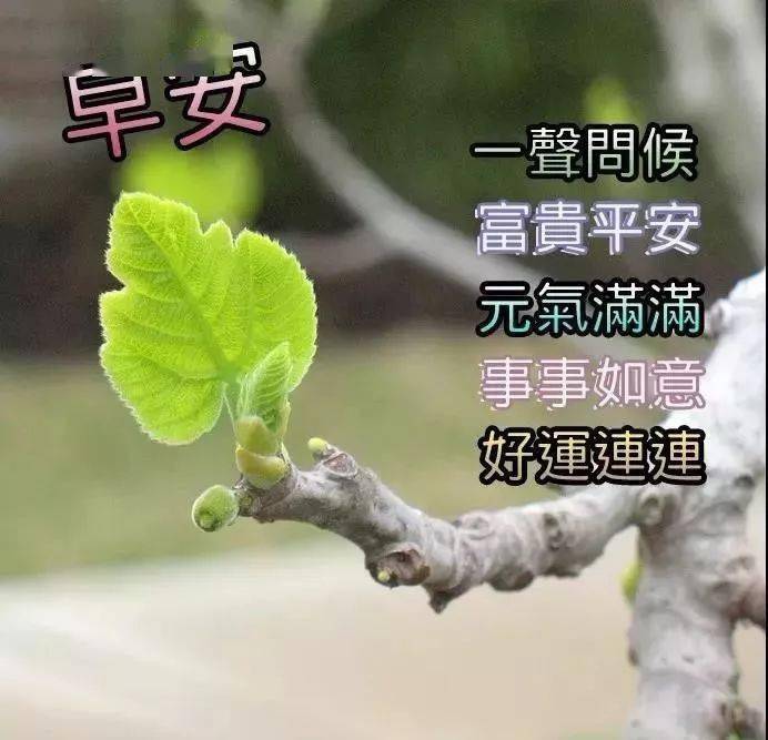 问候老同学的早上好带字图片,老同学是一种牵挂,一世