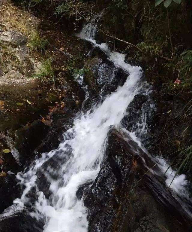 陆川龙颈瀑布景区位于温泉镇四良村群峰峡谷里,山清水秀,瀑布奇特