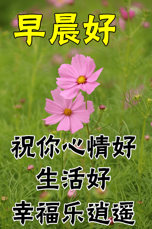 12月18日最漂亮早上好动态表情图片大全早晨好动图美图大全