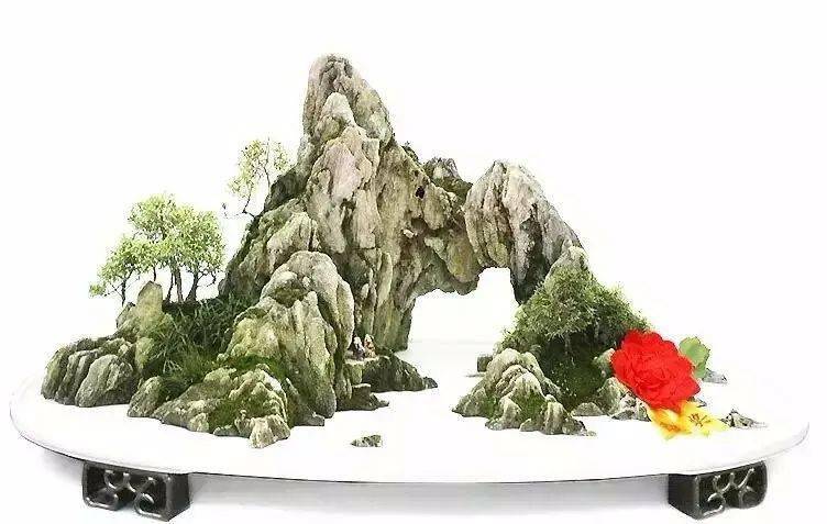 欣赏这些水旱盆景值得收藏