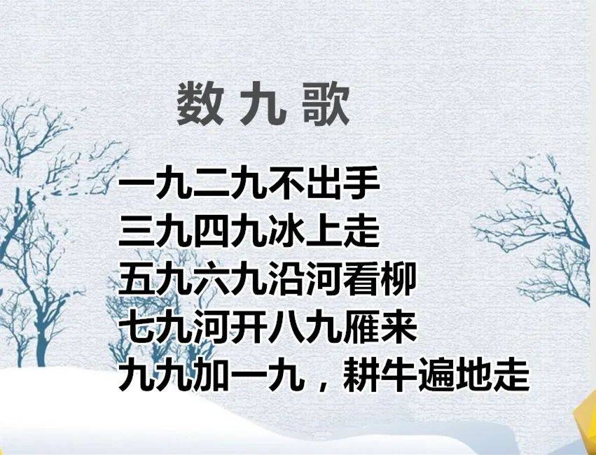 河曲人口数_河曲藏獒(3)