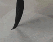 书法课堂 |每日练一字【黄】