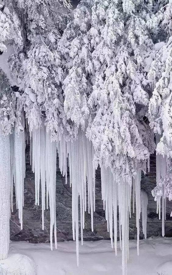 美了美了！丽水传来一组冰雪奇观，令人叹为观止……