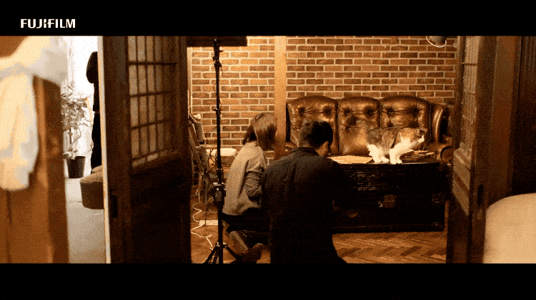 gif就可看作是低帧率的视频片段