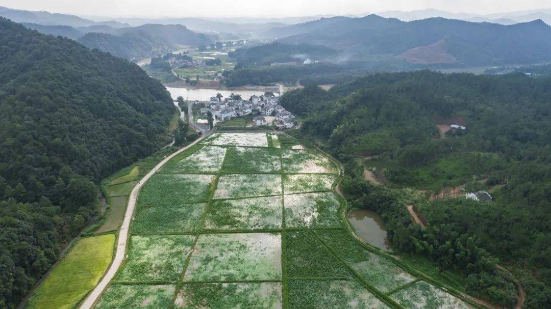 浮梁县有多少人口_最后一团 这里有媲美西北的秋景, 青花瓷 风景再现,景德镇(2)